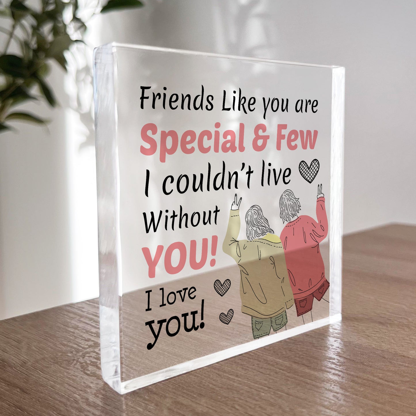 Christmas Gift for Friend Acrylic Plaque Best Friend Friendship