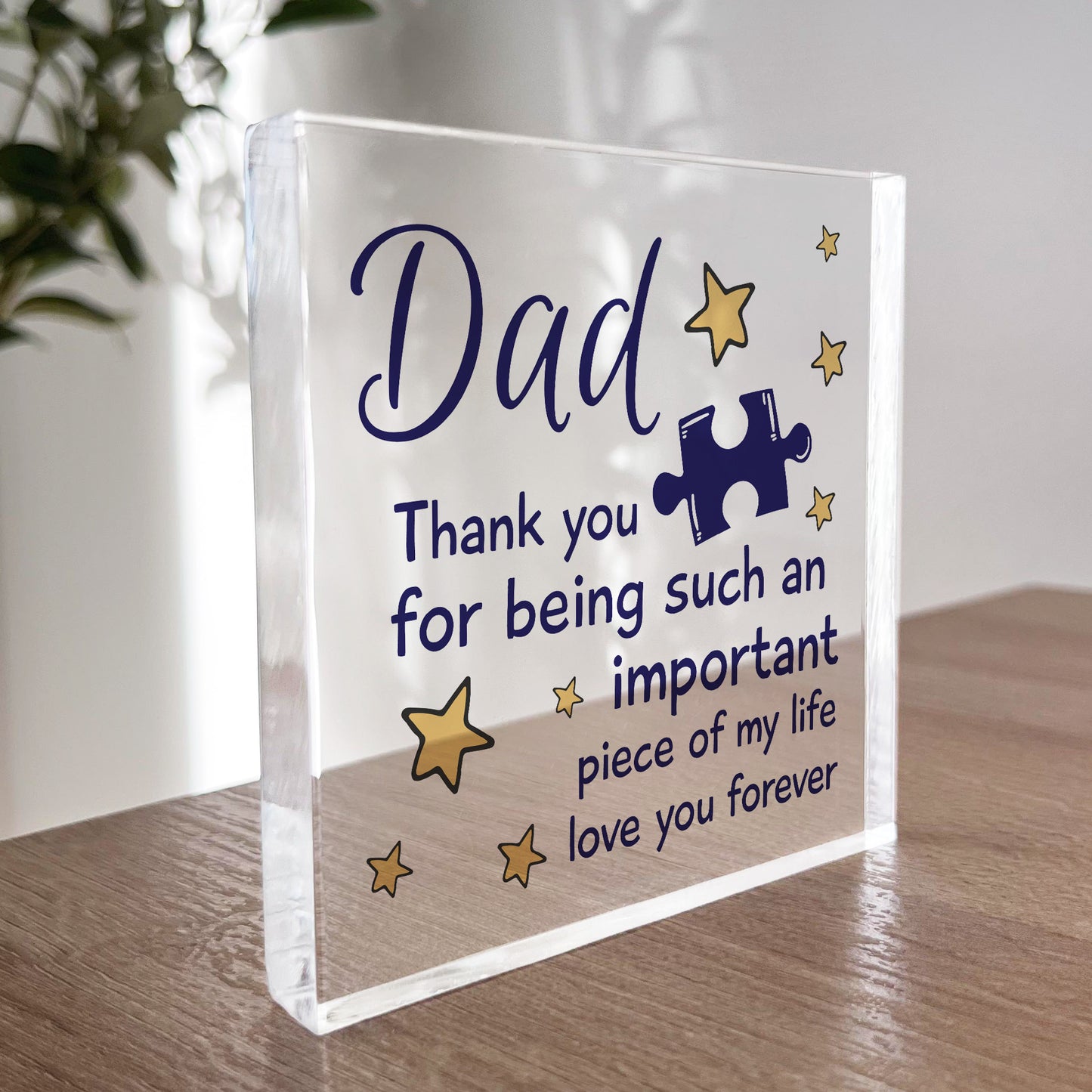 Gifts for Dad Acrylic Block Dad Gifts Dad Birthday Gifts Idea