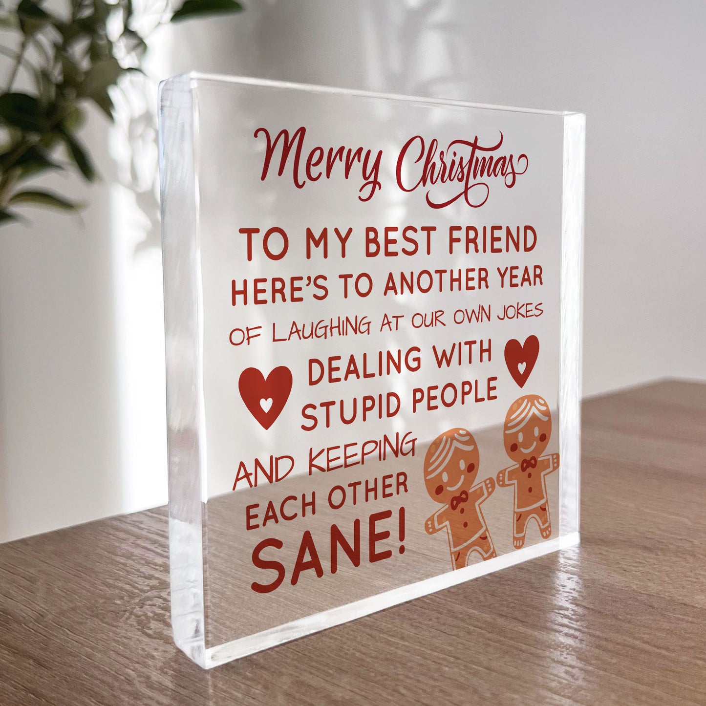 Best Friend Christmas Funny Gift For Friend Acrylic Plaque Gifts
