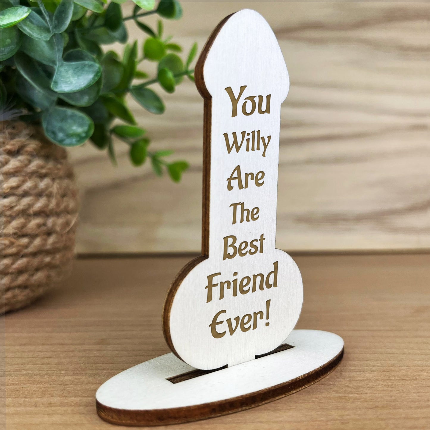 FUNNY Best Friend Gift Engraved Plaque Friendship Christmas