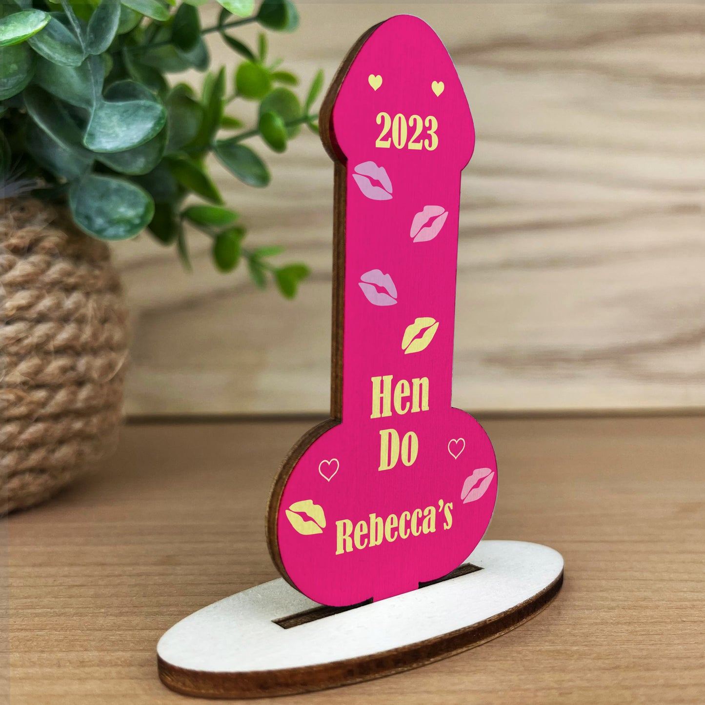 Funny Hen Party Decoration Hen Do Gifts For Bride To Be Plaque