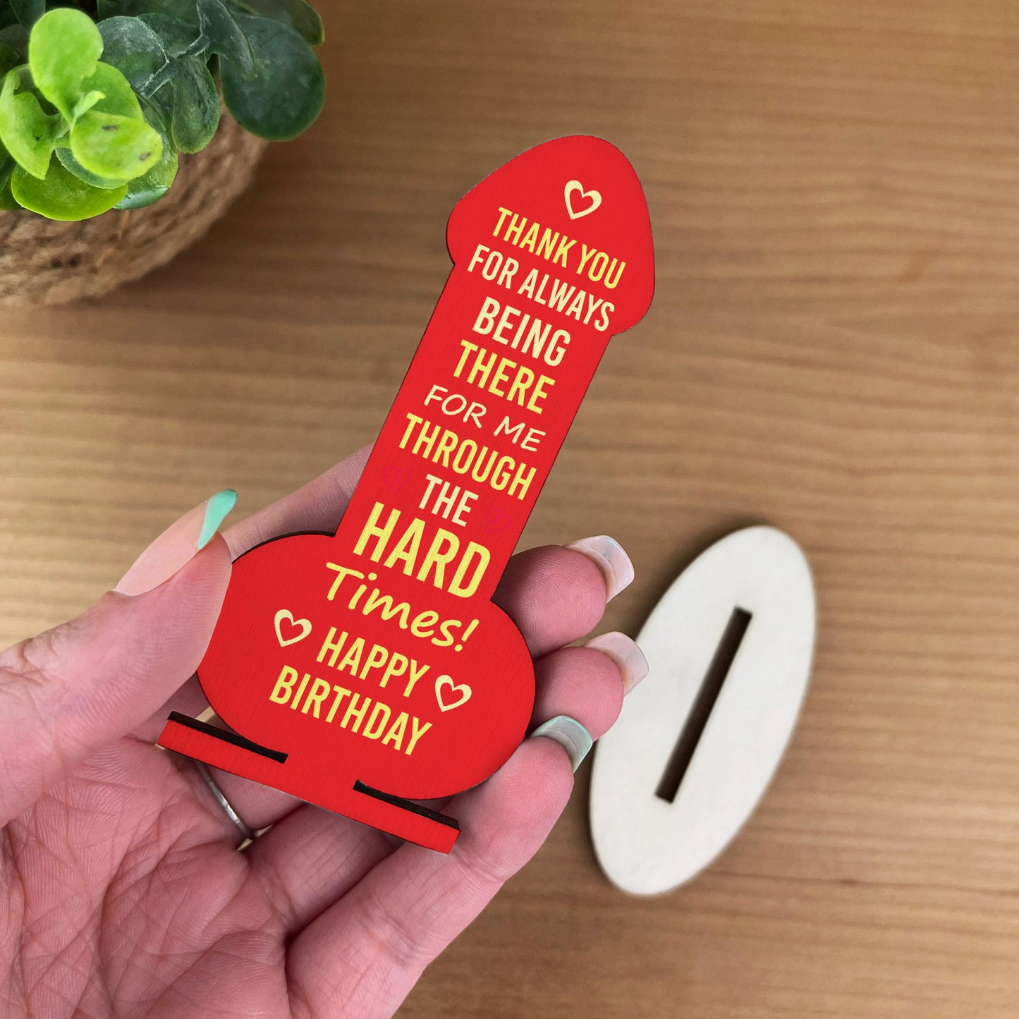 Funny Birthday Gift For Men Women Wood Plaque Husband Boyfriend