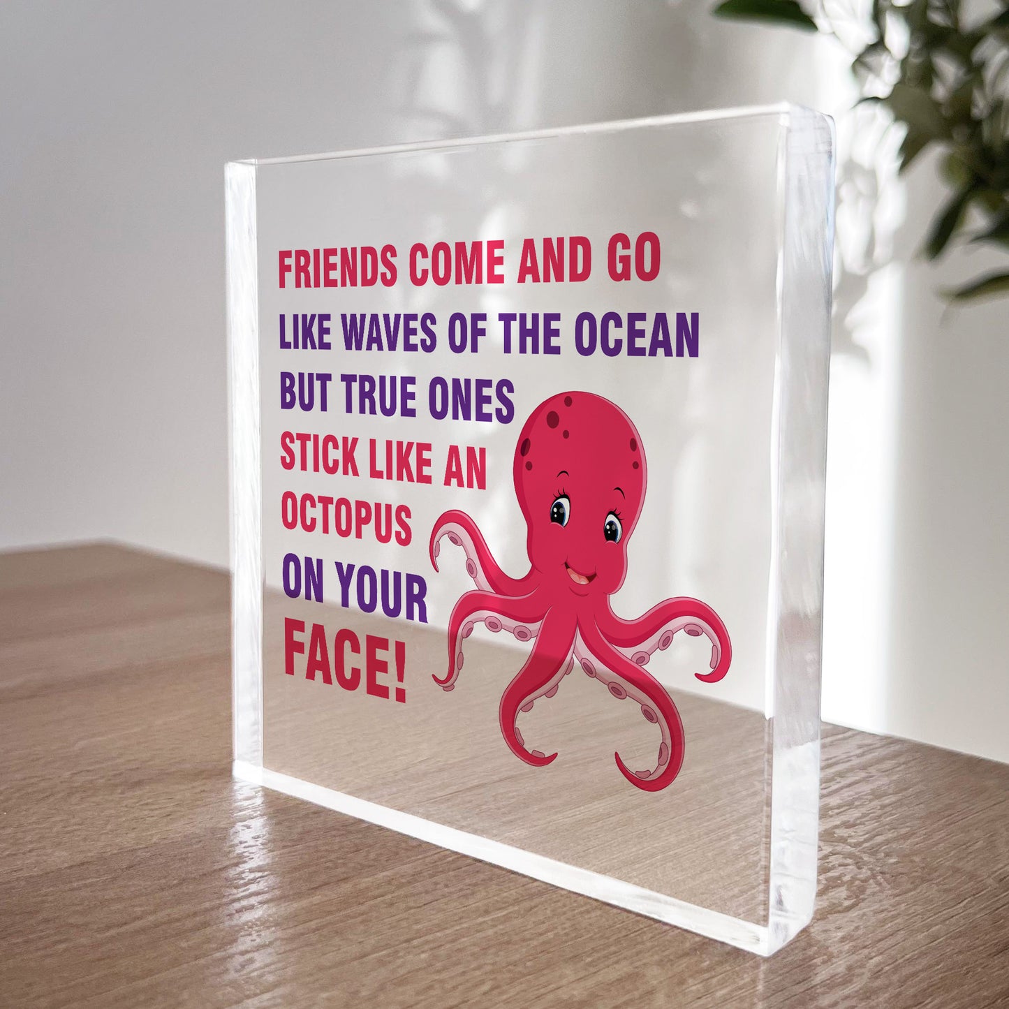 Friendship Keepsake Plaque Best Friend Gifts Thank You Birthday