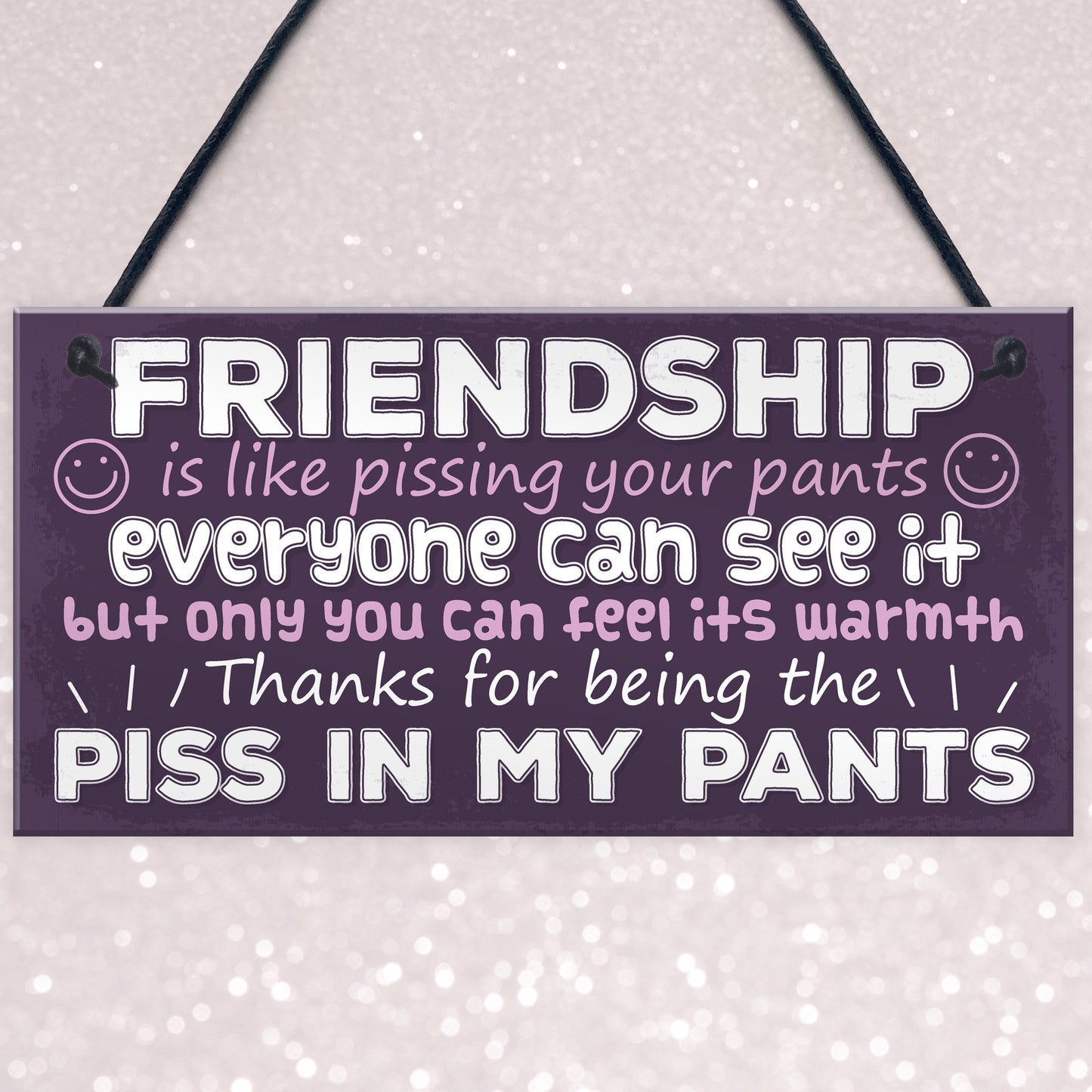 Funny Friendship Gift Best Friend Sign Novelty Birthday Gifts