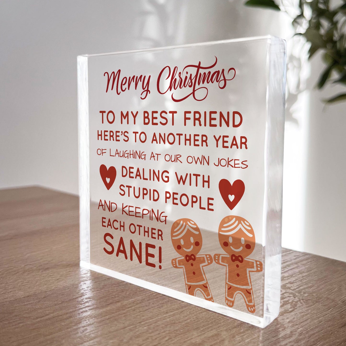 Best Friend Christmas Funny Gift For Friend Acrylic Plaque Gifts