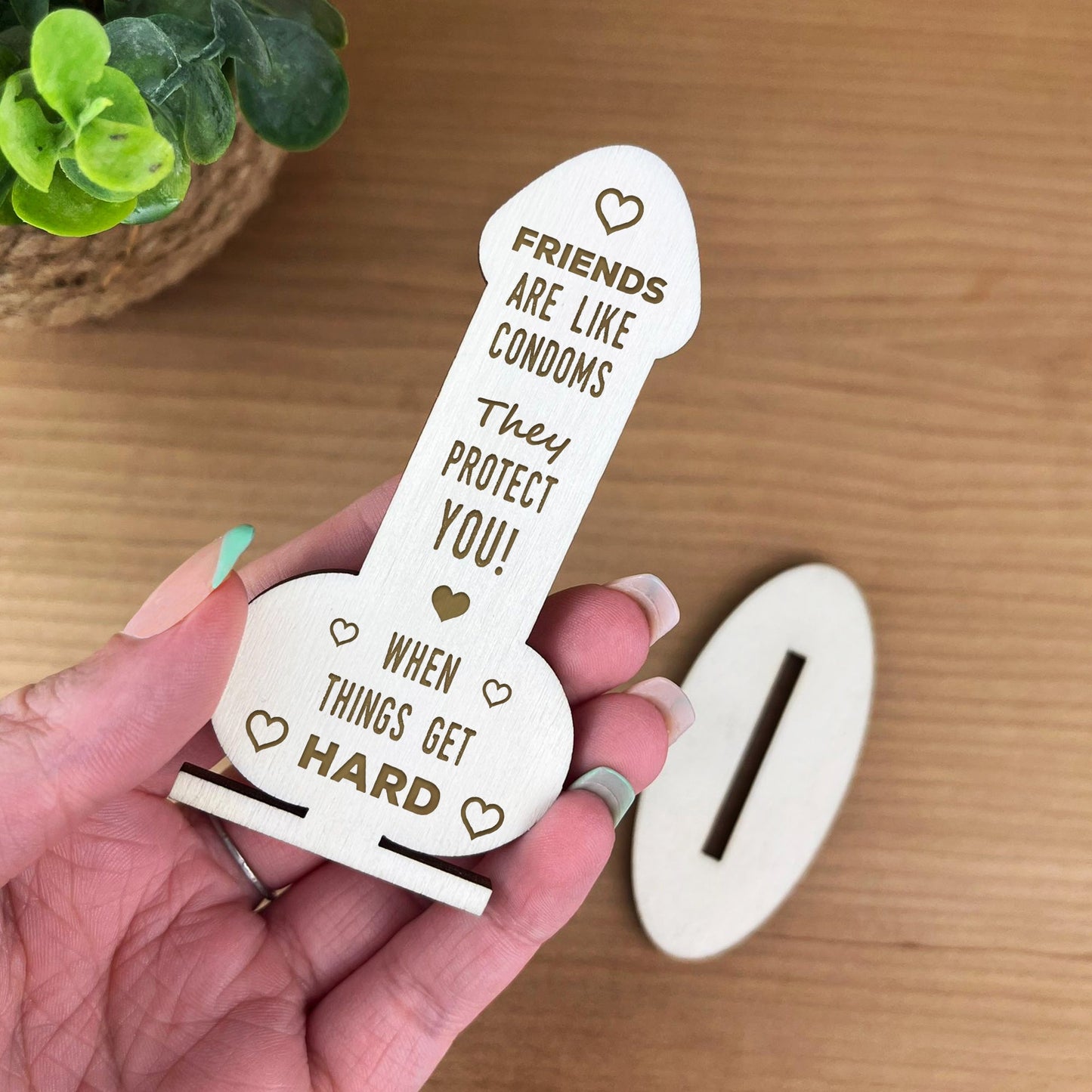 Funny Rude Friendship Plaque Novelty Birthday Gift For Friend