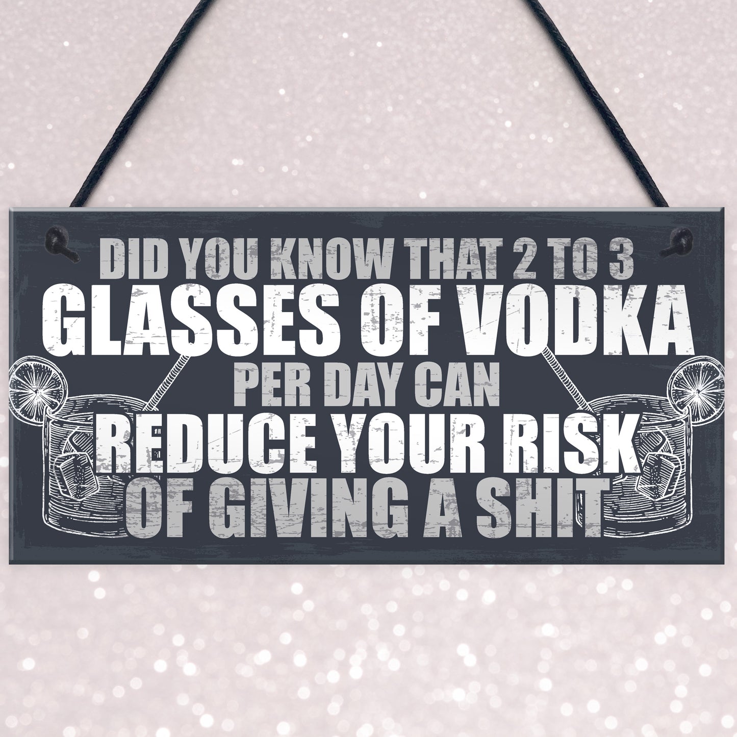 Funny Alcohol Gift Home Bar Sign Vodka Garden Pub Shed Plaque