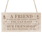 Best Friend Sign For Birthday Christmas Engraved Wood Sign