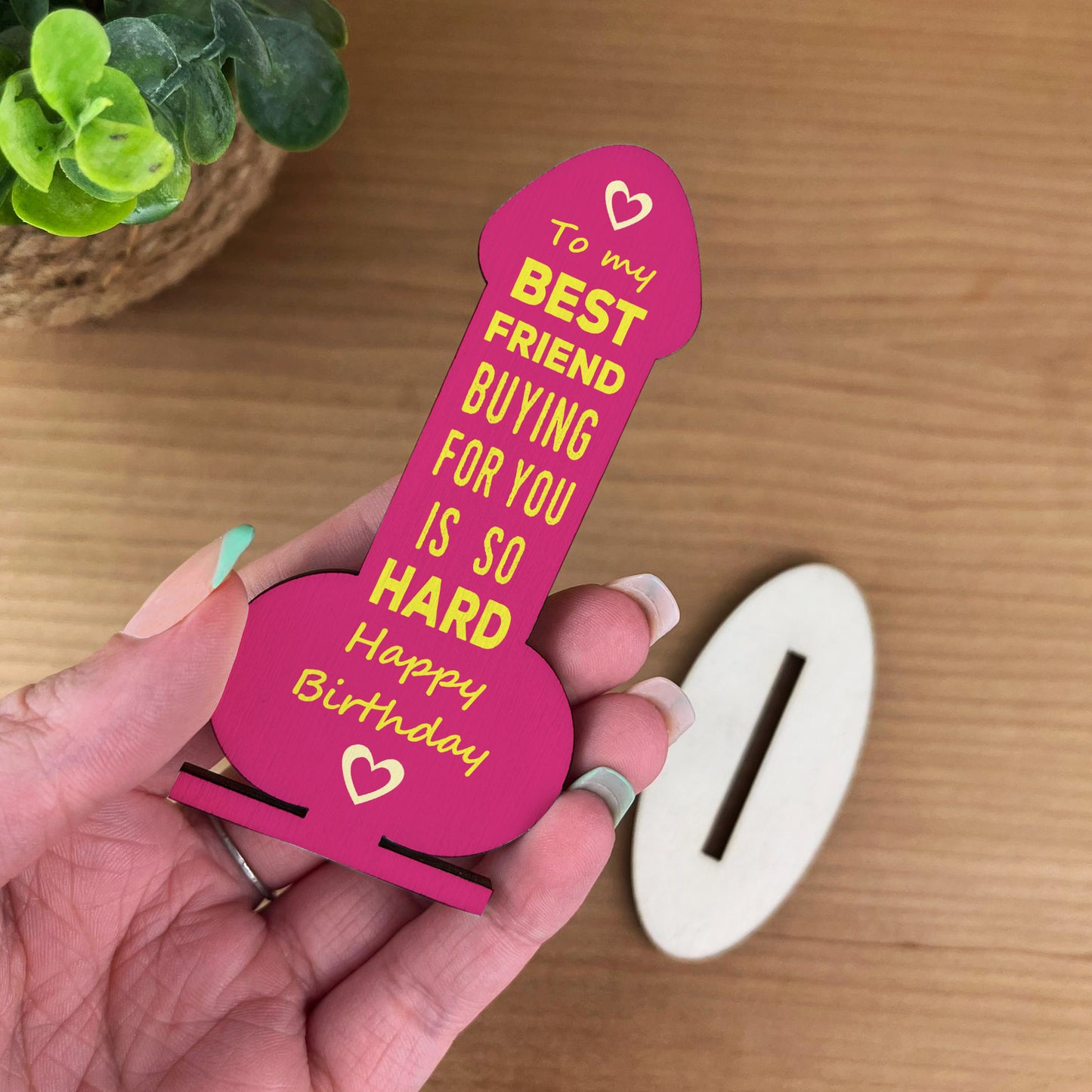 Funny Friendship Plaque Joke Novelty Birthday Gift For Friend