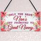 BEST NANS Promoted To GREAT NANNY Pregnancy Gift Hanging Plaque