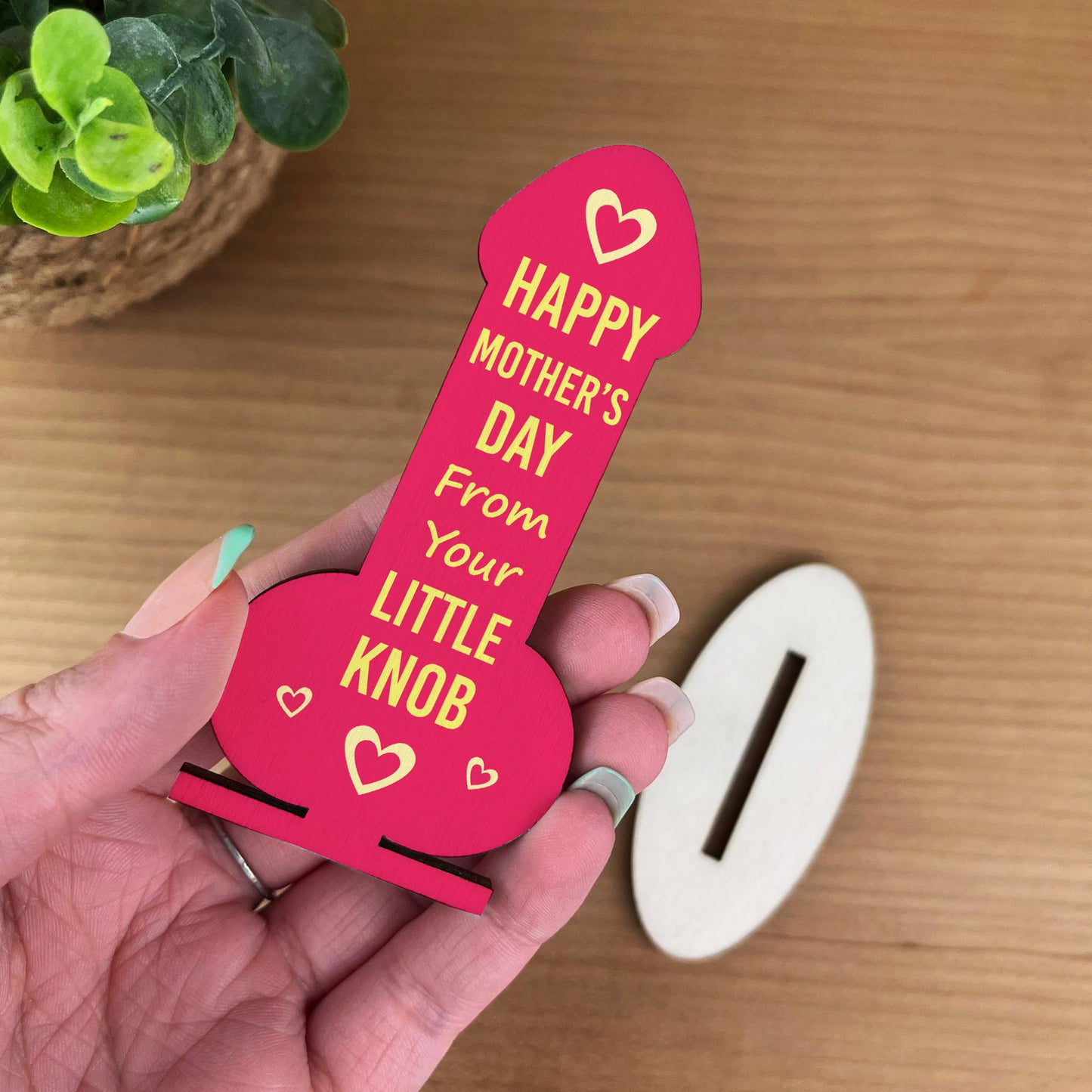 Funny Mothers Day Gift From Son Wood Plaque Joke Humour