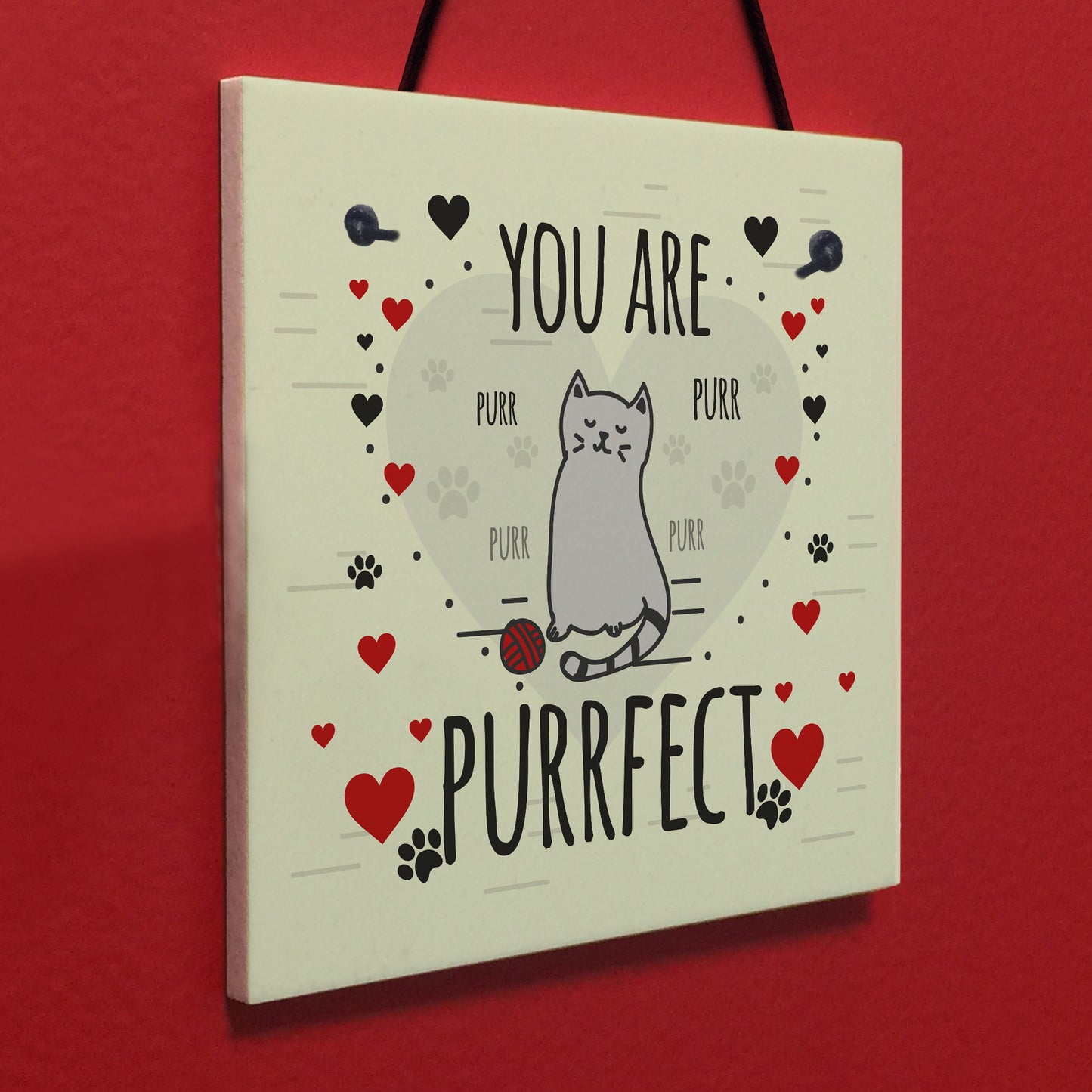 Funny Cats Sign Home Decor Crazy Cat Lady Sign Pet Lover Gifts