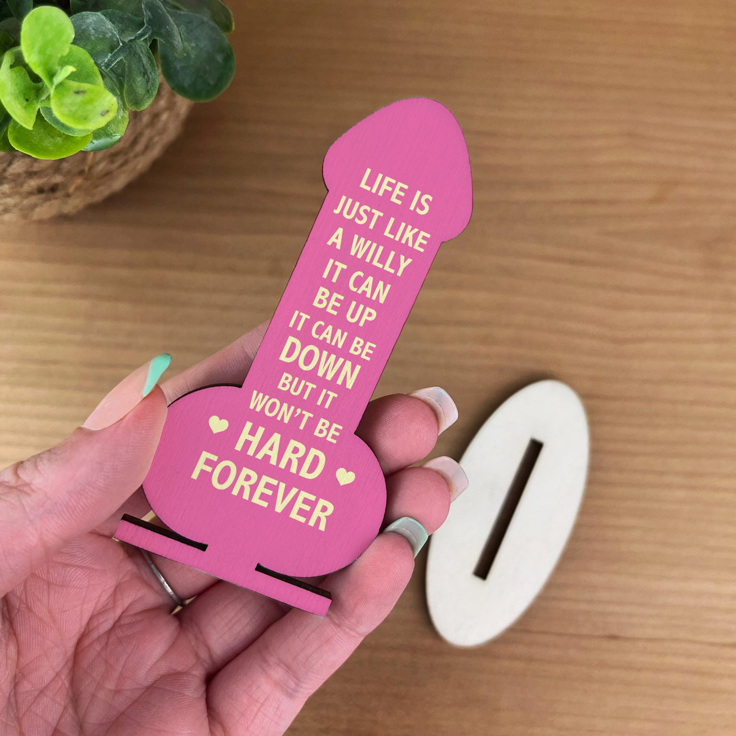 Motivational Plaque Funny Friendship Plaque Novelty Birthday