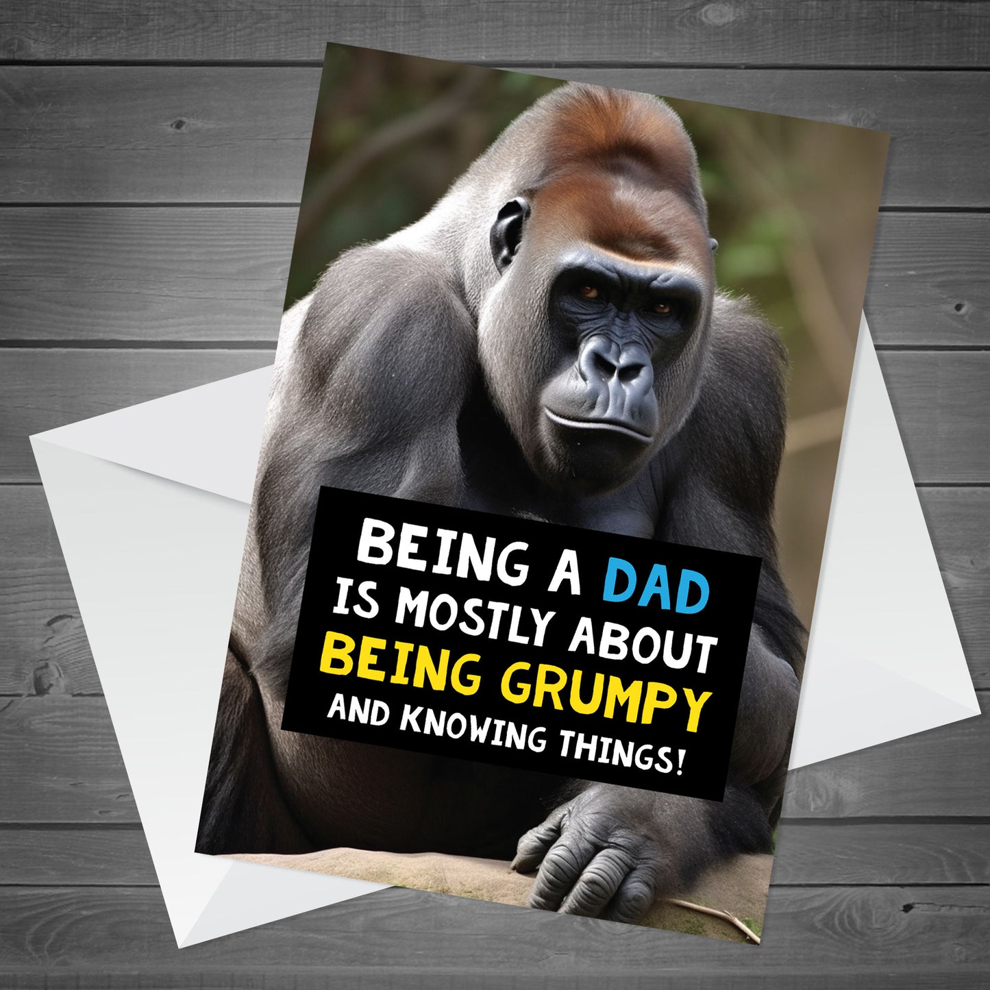 Birthday Gift For Dad Funny Birthday Card Fathers Day Gifts