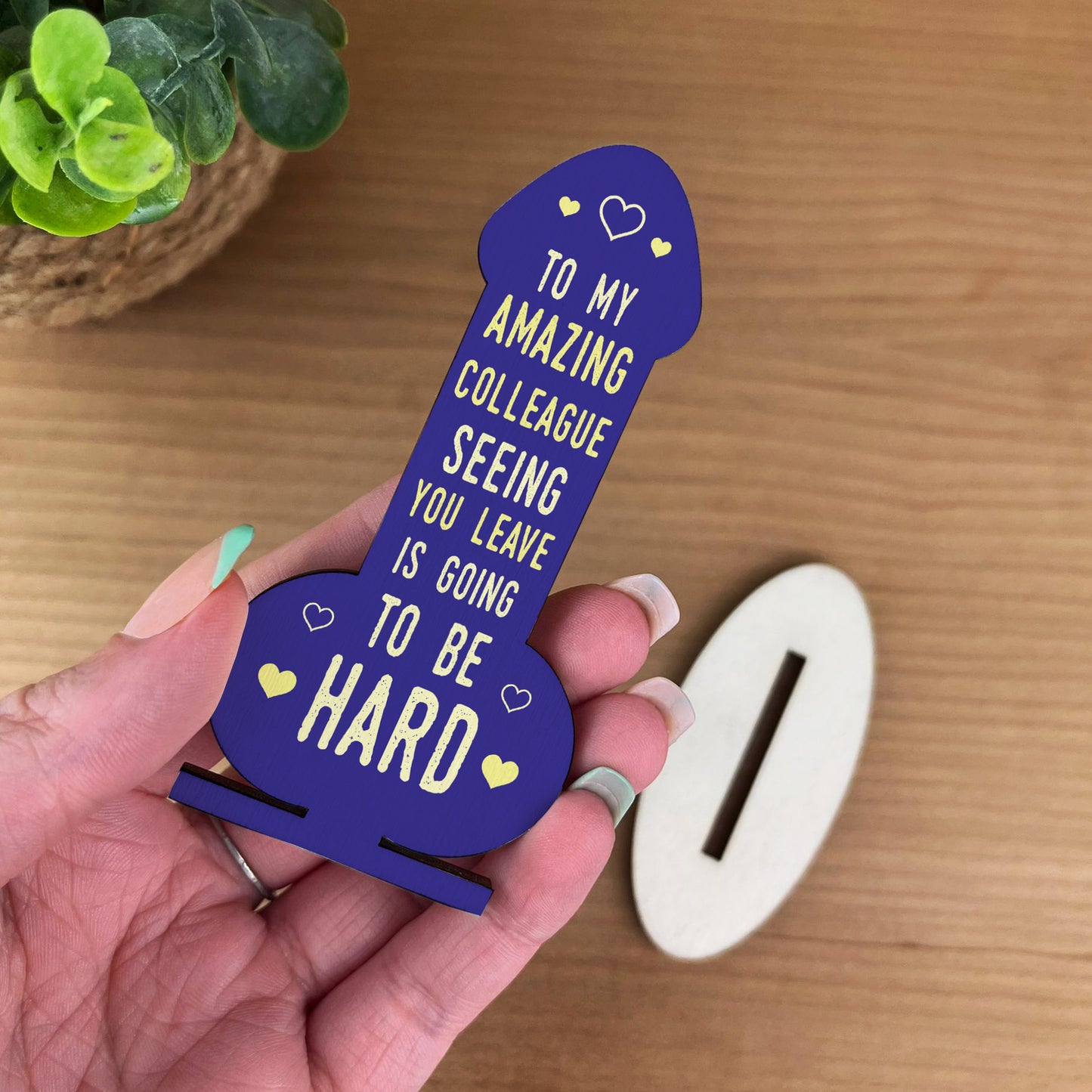 Colleague Gifts Funny Wooden Plaque Gift For Friend Birthday