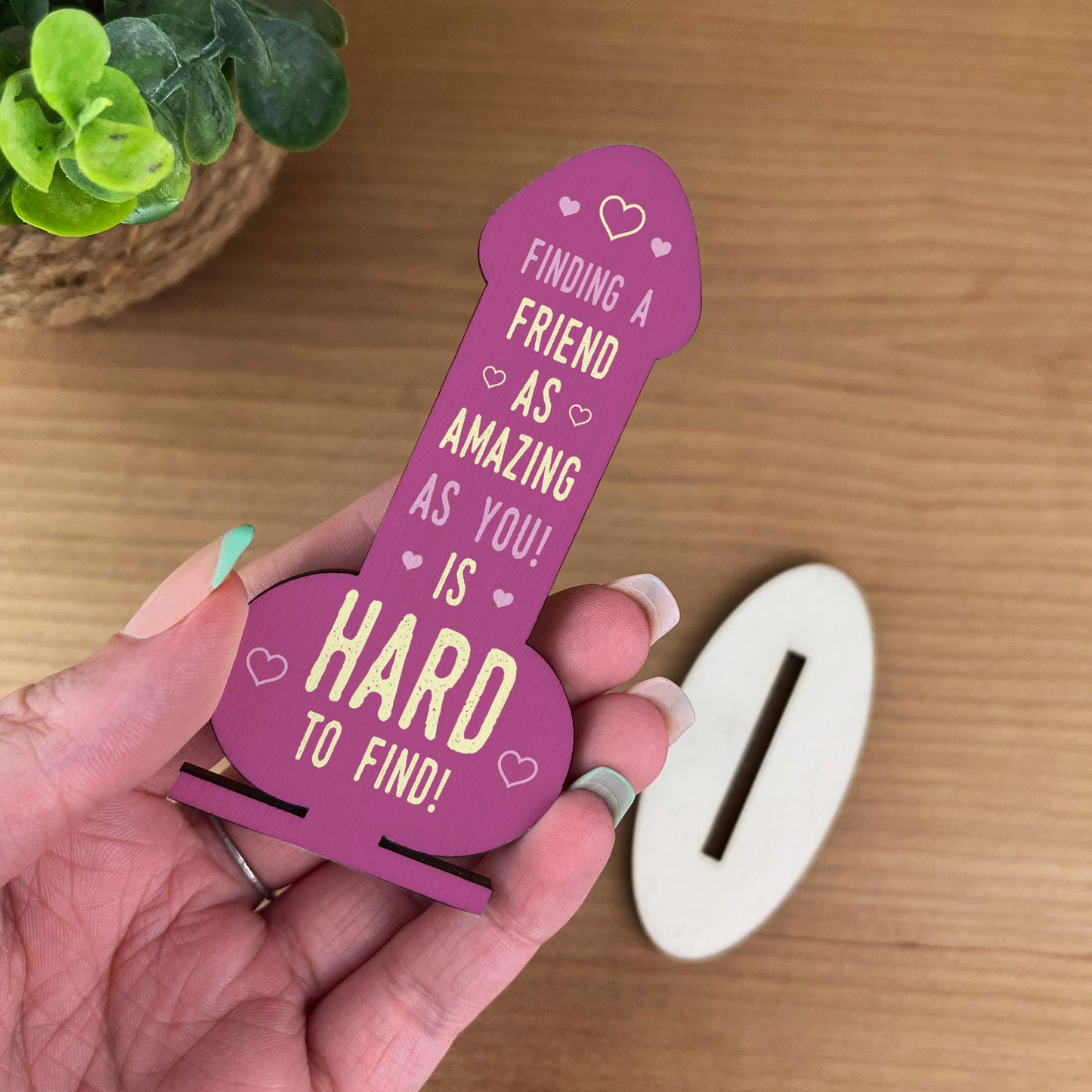 Funny Rude Friendship Plaque Novelty Plaque Birthday Friend Joke