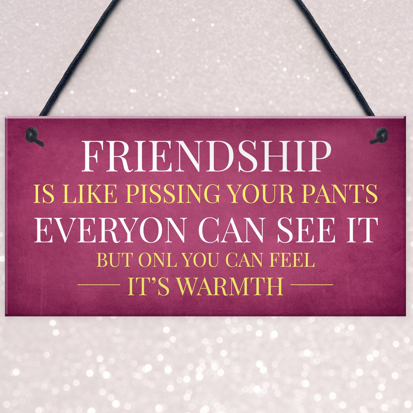 Funny Friendship Gift Sign Christmas Gift For Friend Best Friend