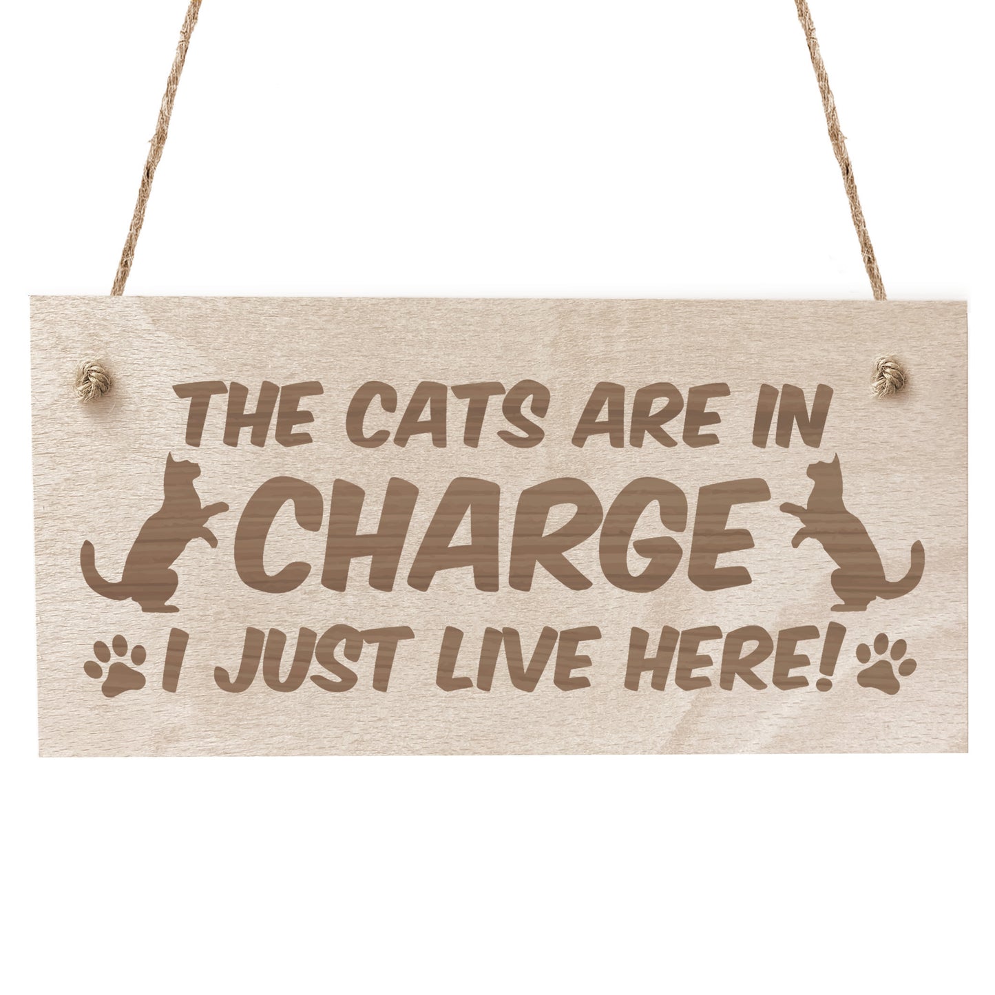 Funny Cat Gifts For Cat Lovers Hanging Wood Sign Home Decor