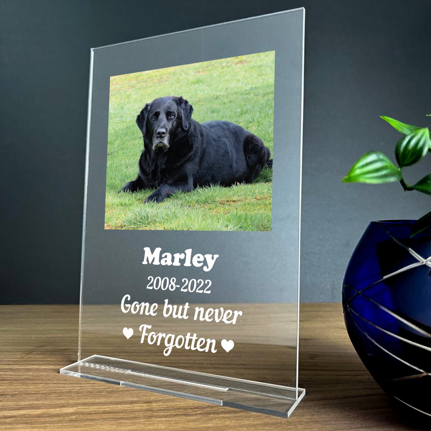 Personalised Dog Pet Memorial Acrylic Plaque For Dog Animal