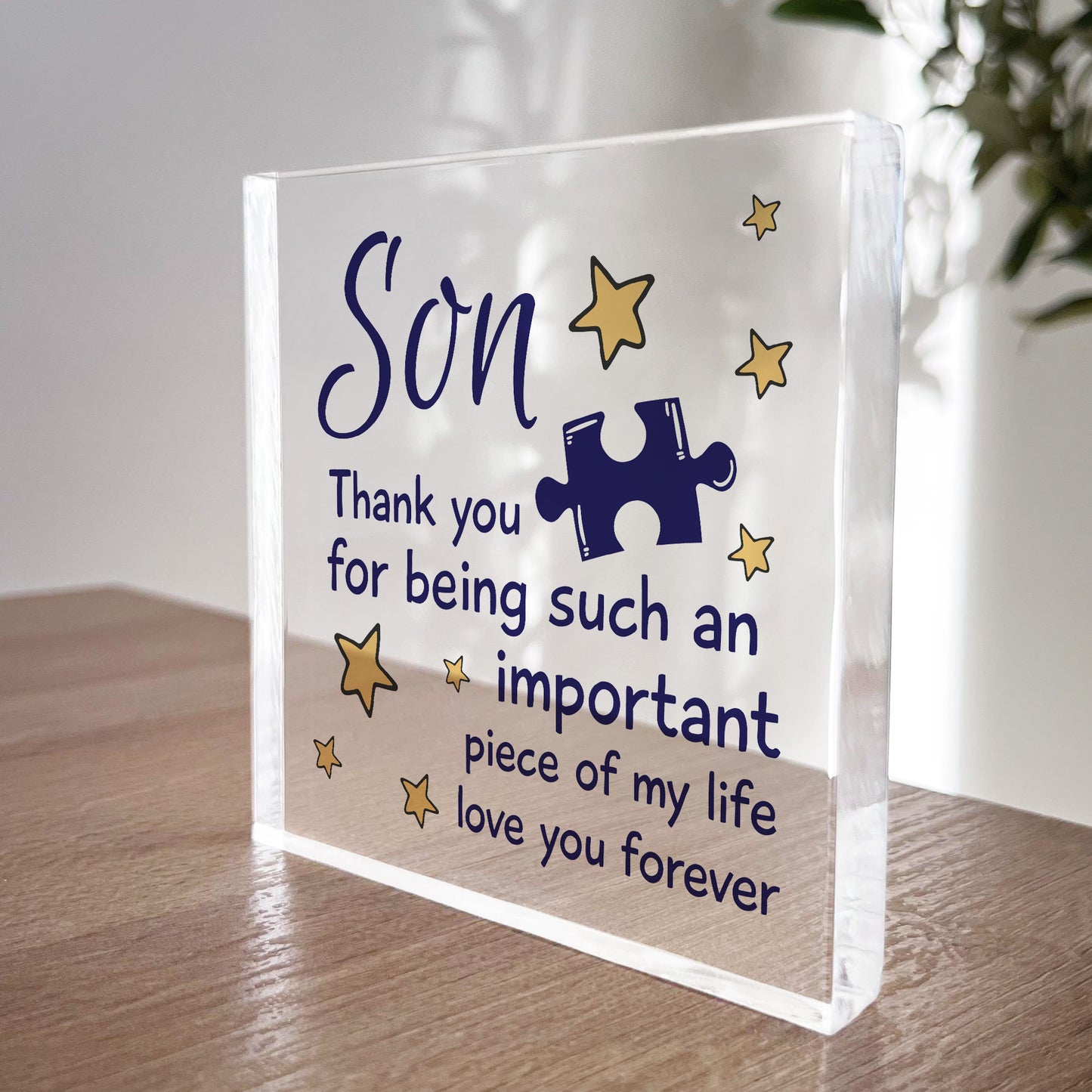 Gifts for Son Acrylic Block Son Birthday Gifts Idea Christmas