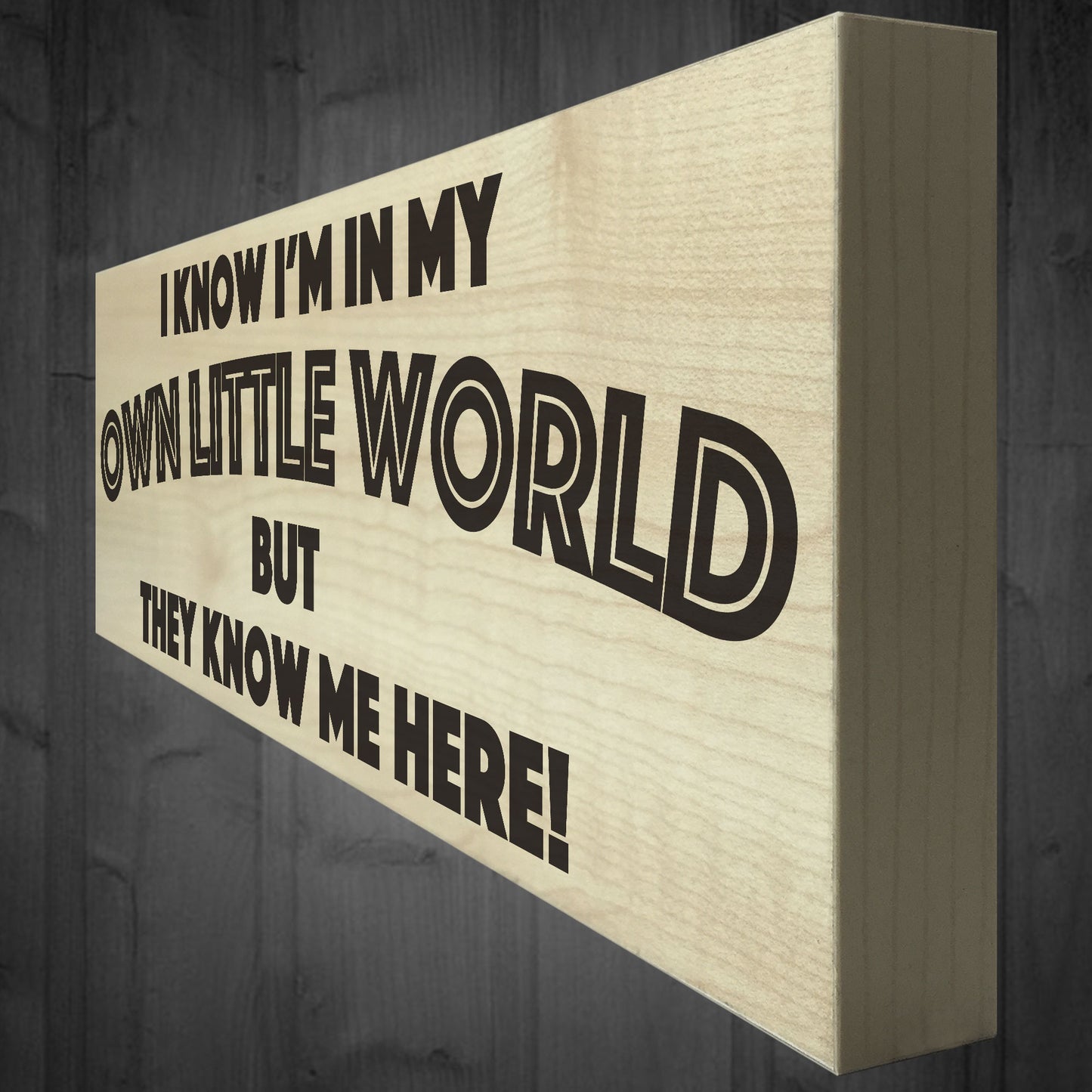 My Own Little World Wooden Freestanding Novelty Plaque