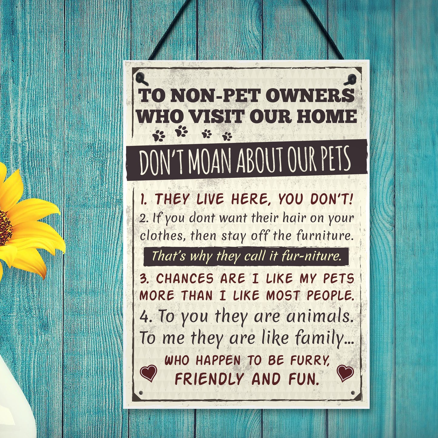 Rules to Non Pet Owners Retro Sign Wall Plaque Dog Cat Lover
