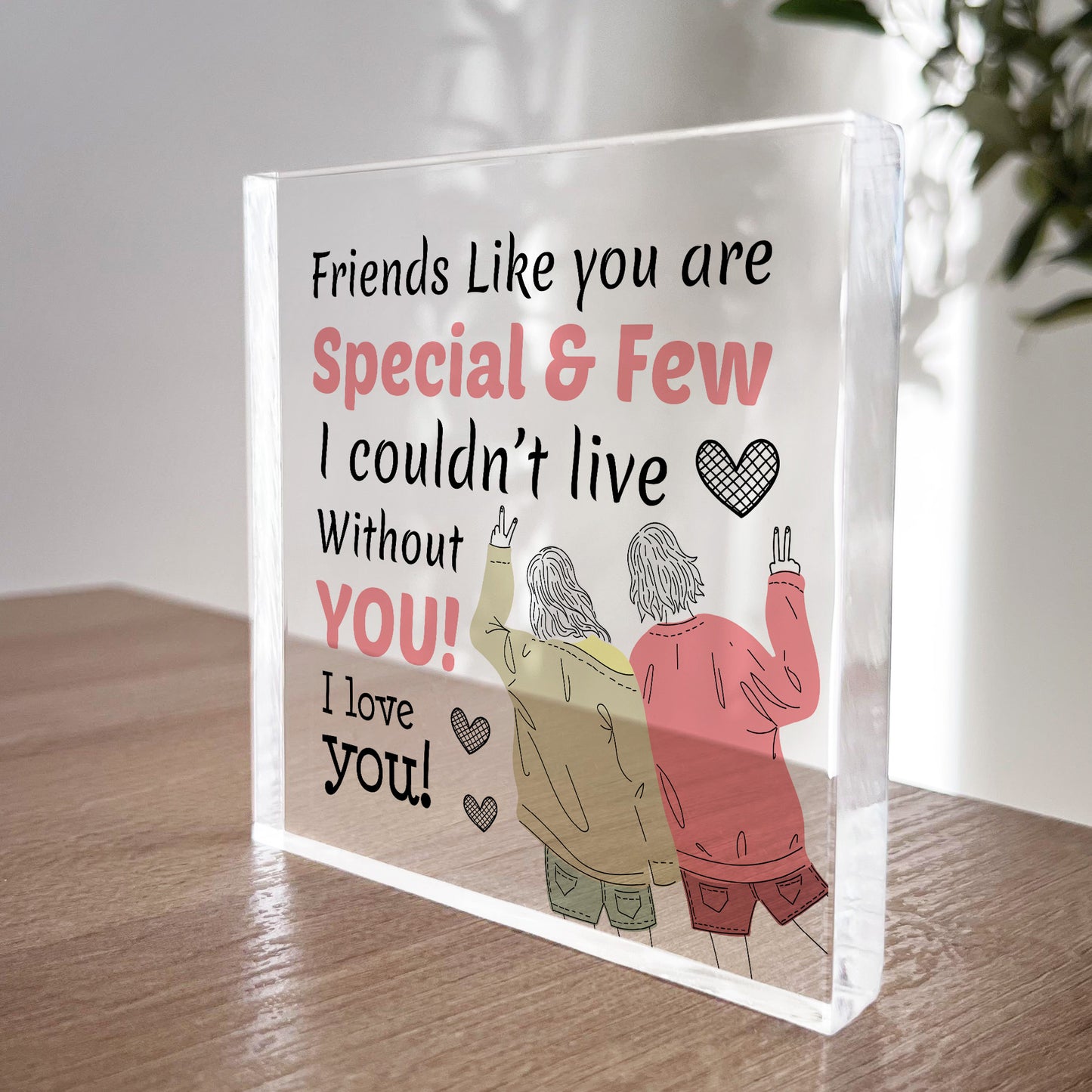 Christmas Gift for Friend Acrylic Plaque Best Friend Friendship