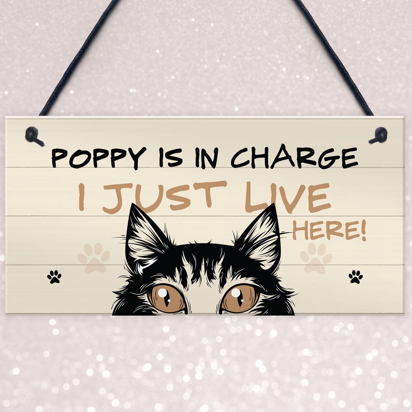Funny Cat Sign In Charge Cat Lovers Gift For Women Home Decor