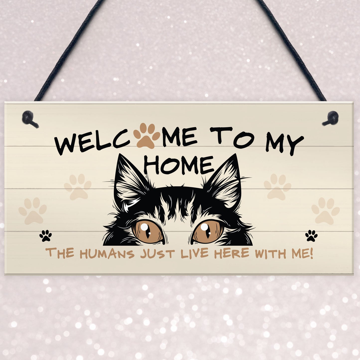 Funny Cat Sign Welcome Sign Cat Lover Gift For Women Home