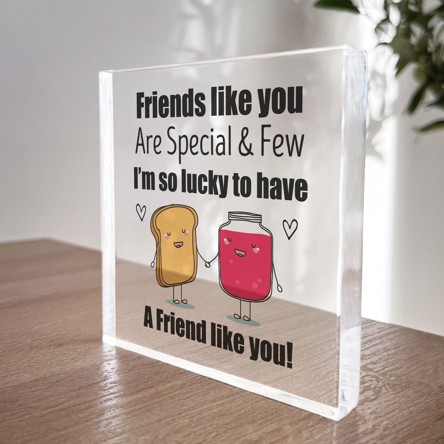 Friend Gift Acrylic Plaque Friendship Gift For Best Friend Gifts