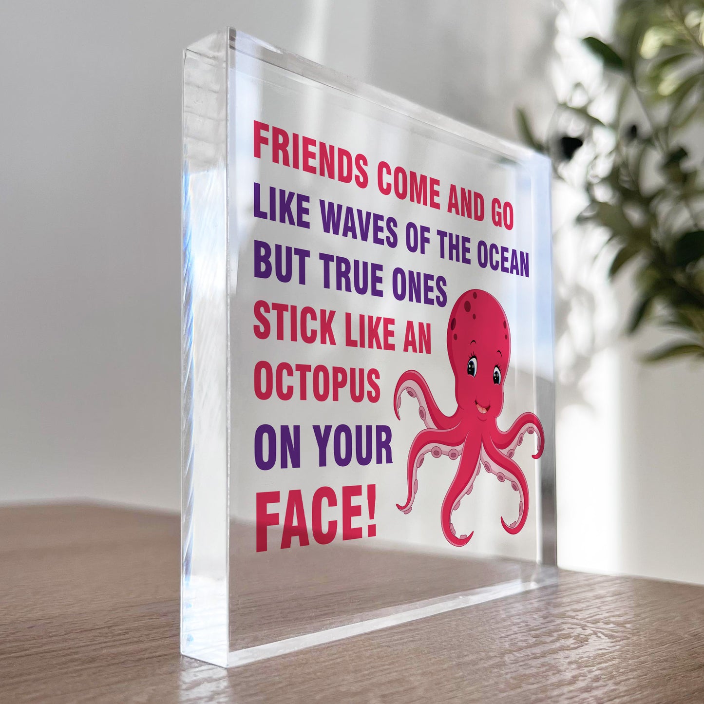 Friendship Keepsake Plaque Best Friend Gifts Thank You Birthday