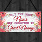 BEST NANS Promoted To GREAT NANNY Pregnancy Gift Hanging Plaque