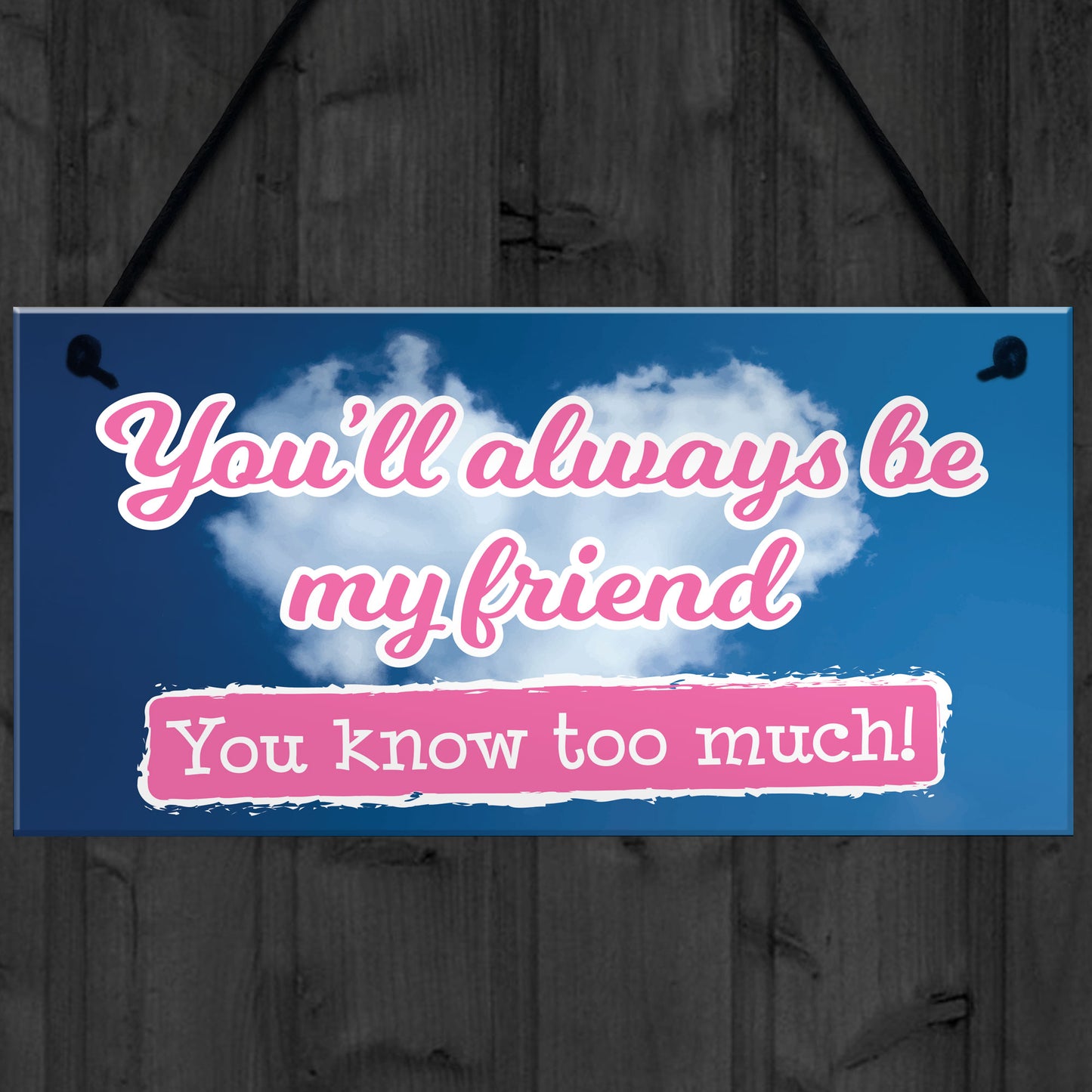 You'll Always Be My Friend Friendship Gift Hanging Plaque Sign