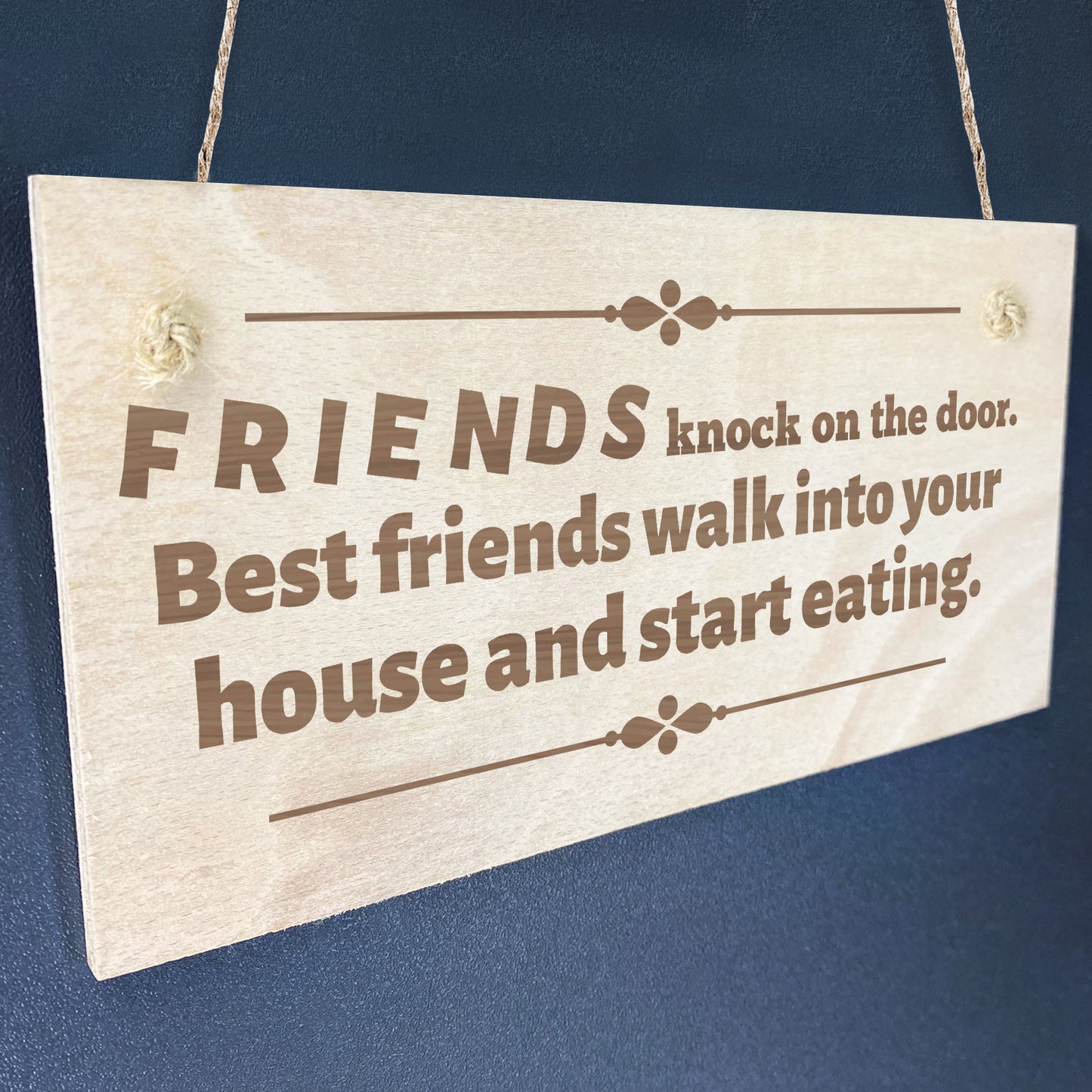 Funny FRIENDSHIP Gift Wooden Hanging Sign Best Friend Gifts