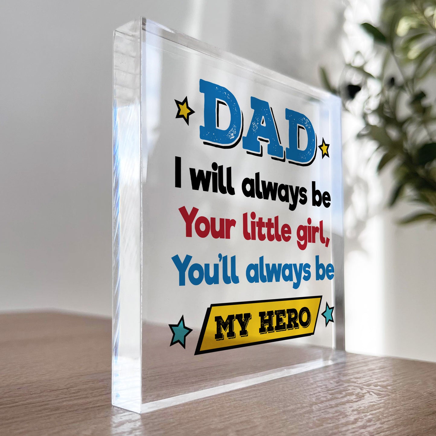 Father Daughter Gift Acrylic Block Dad Gift For Birthday