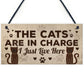 Funny Cat Gifts For Cat Lovers 3 Pack Gift For Women Home Decor