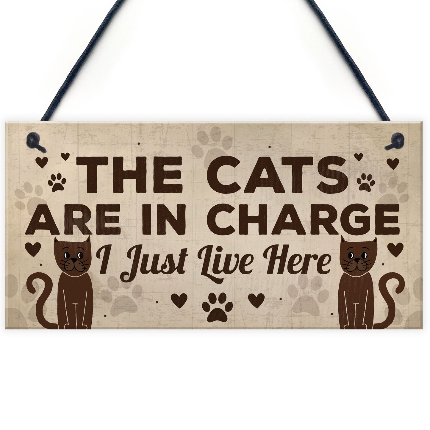 Funny Cat Gifts For Cat Lovers 3 Pack Gift For Women Home Decor
