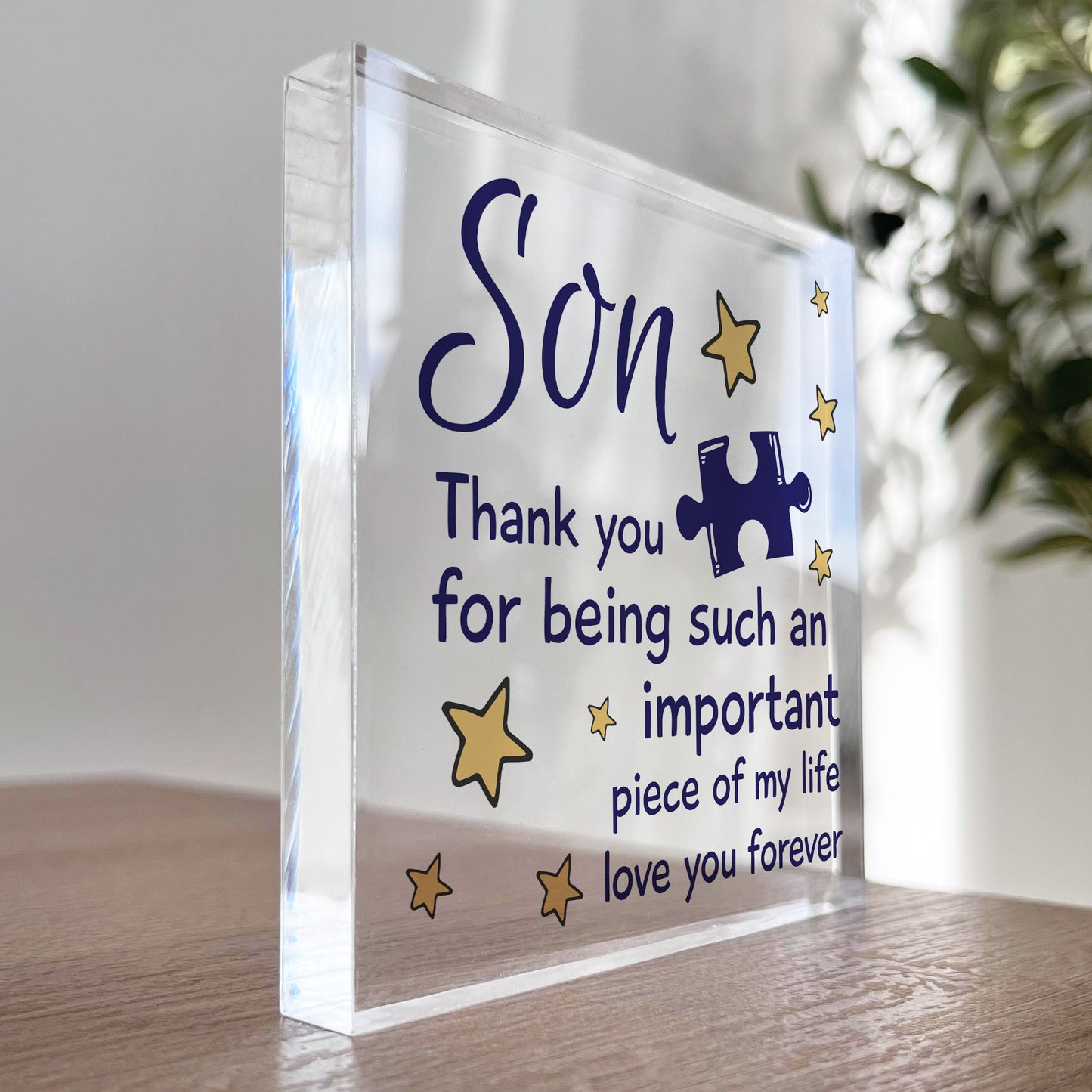 Gifts for Son Acrylic Block Son Birthday Gifts Idea Christmas