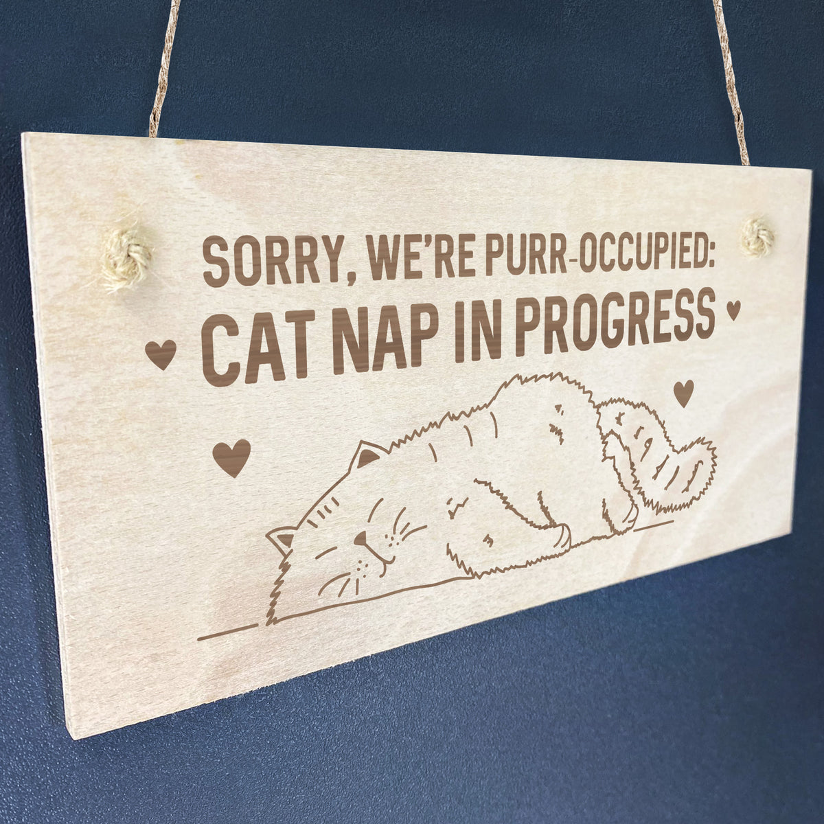 Funny Cat Gifts For Cat Lovers Cat Signs Gift For Women Engraved