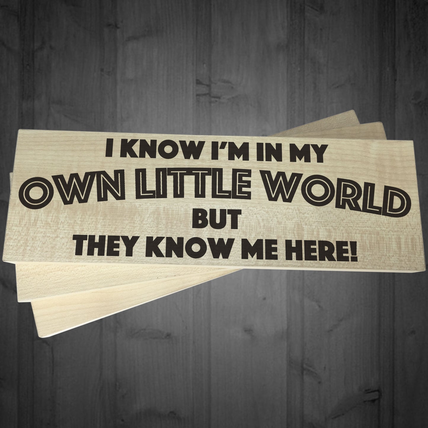 My Own Little World Wooden Freestanding Novelty Plaque