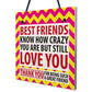 Best Friends Crazy Christmas Home Friendship Gift Hanging Plaque