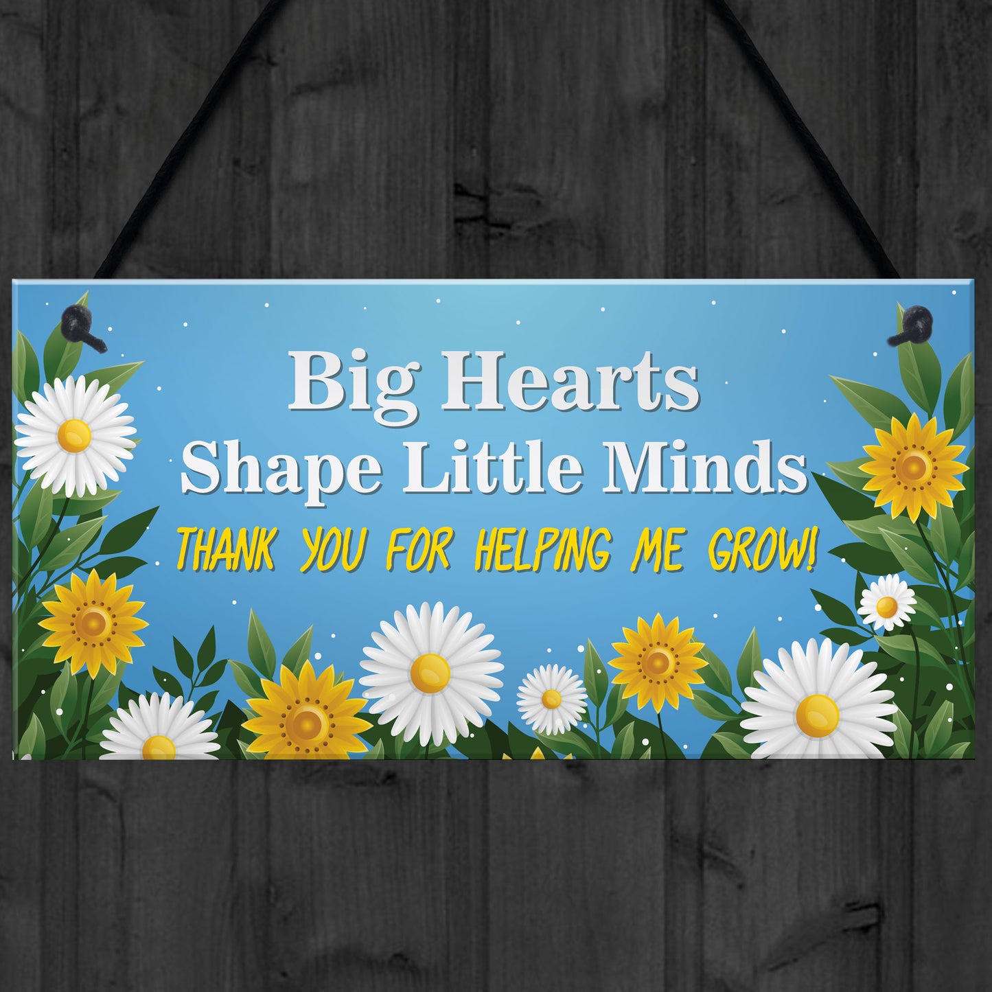 Teacher Appreciation Plaque Teaching Assistant TA Nursery