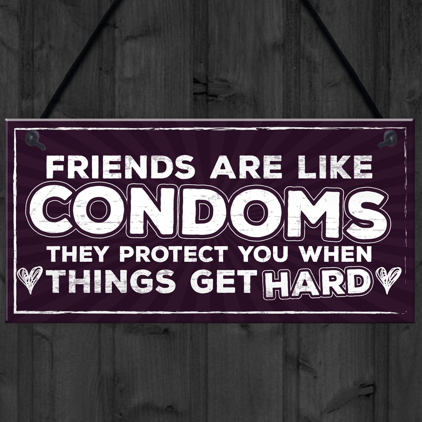 Funny Friendship Sign Best Friend Gift Novelty Birthday Plaque