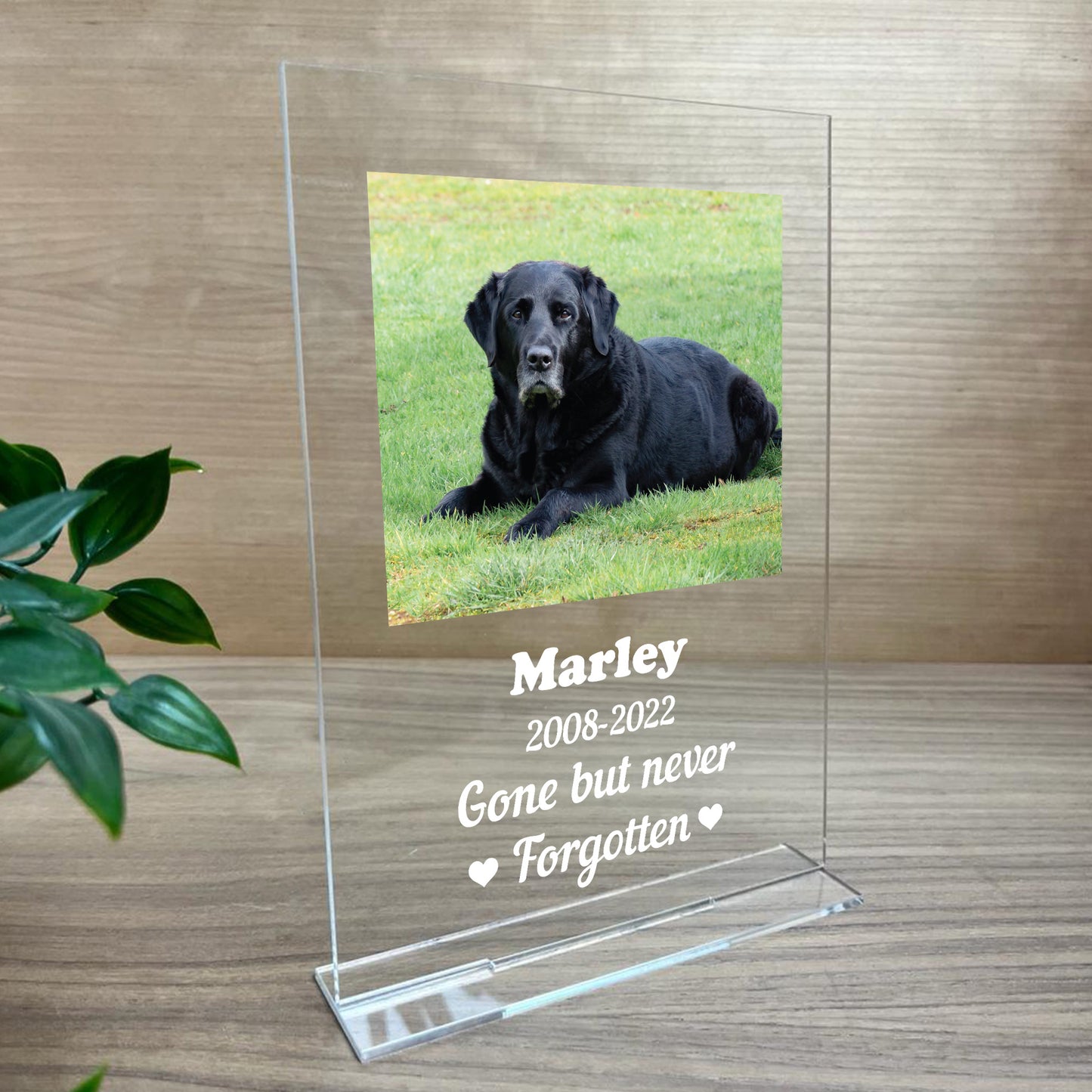 Personalised Dog Pet Memorial Acrylic Plaque For Dog Animal