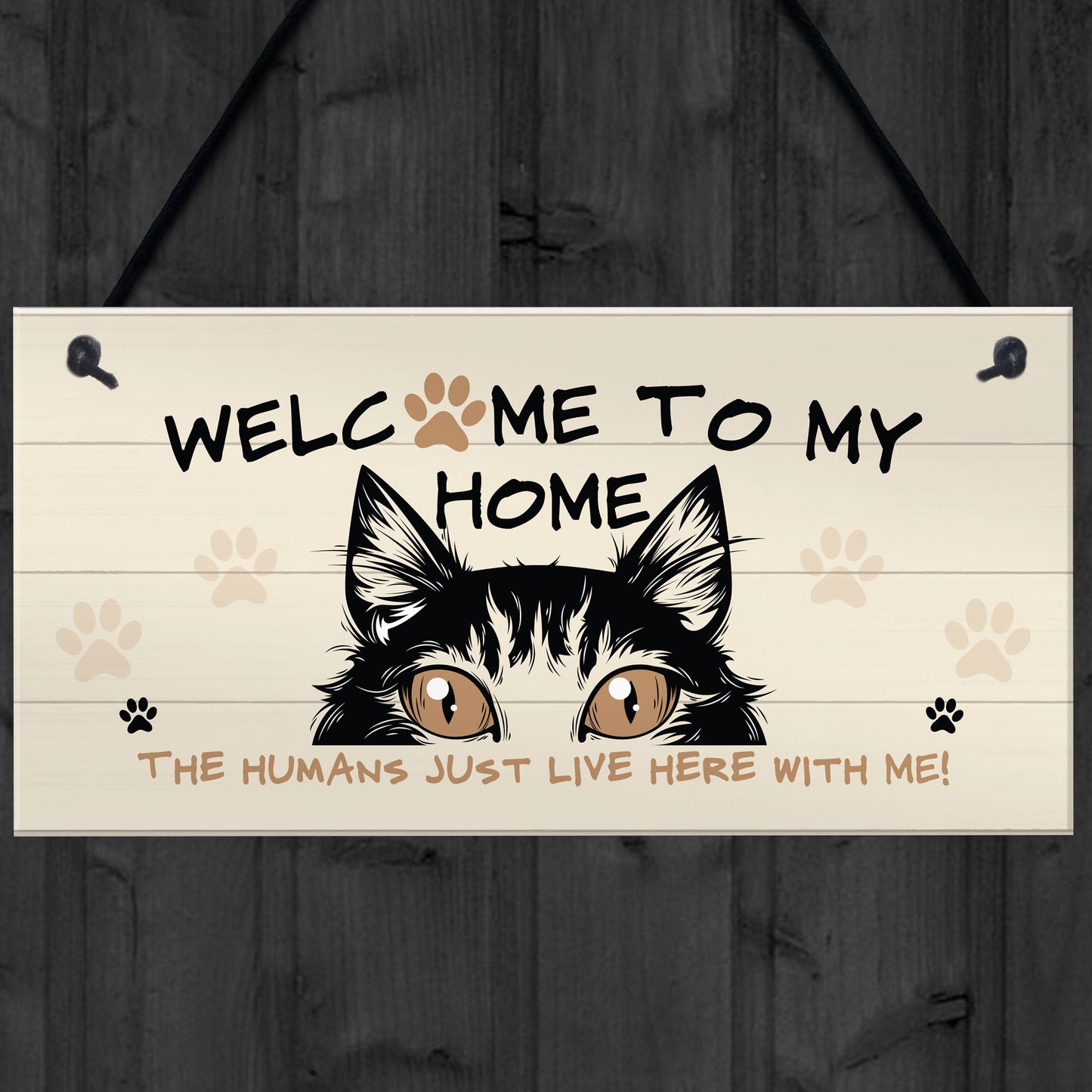Funny Cat Sign Welcome Sign Cat Lover Gift For Women Home
