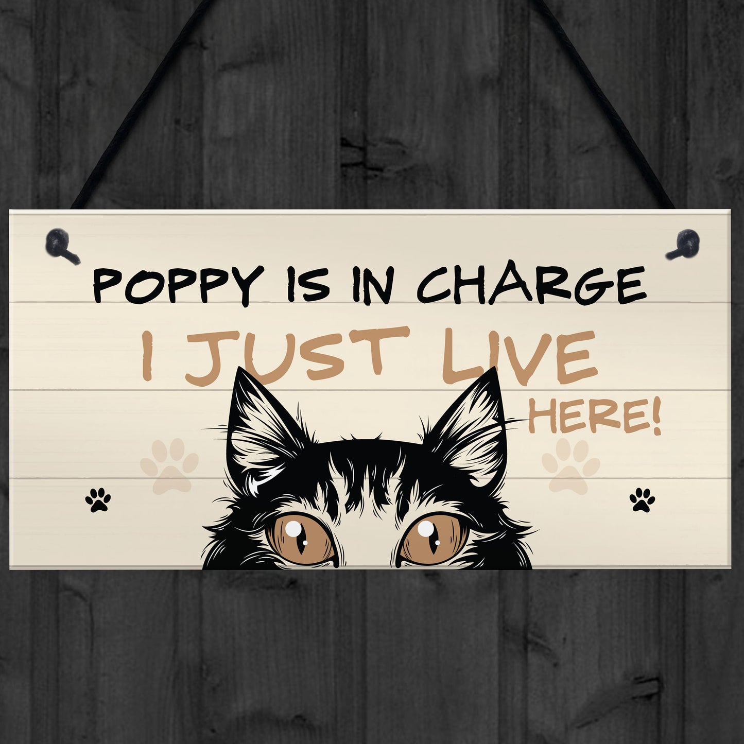 Funny Cat Sign In Charge Cat Lovers Gift For Women Home Decor