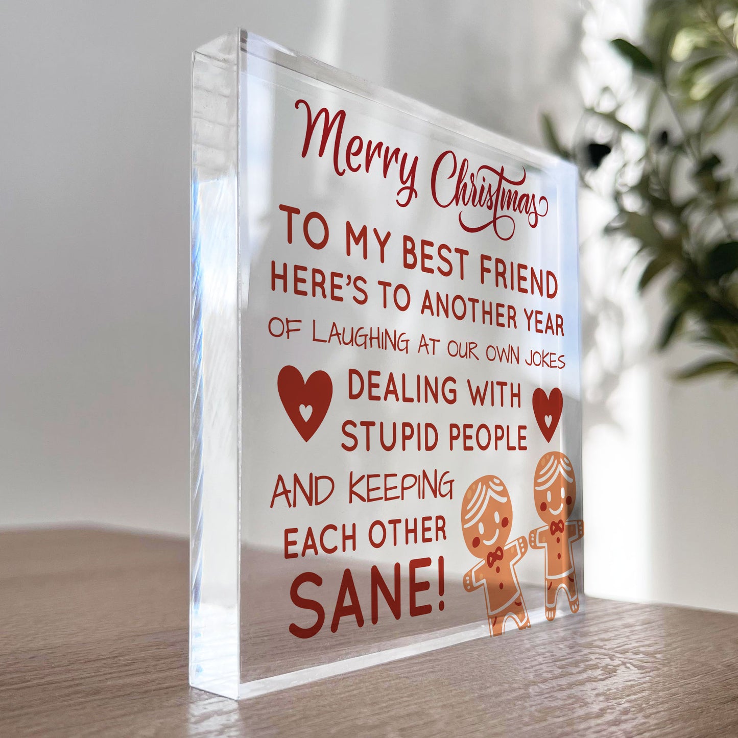 Best Friend Christmas Funny Gift For Friend Acrylic Plaque Gifts
