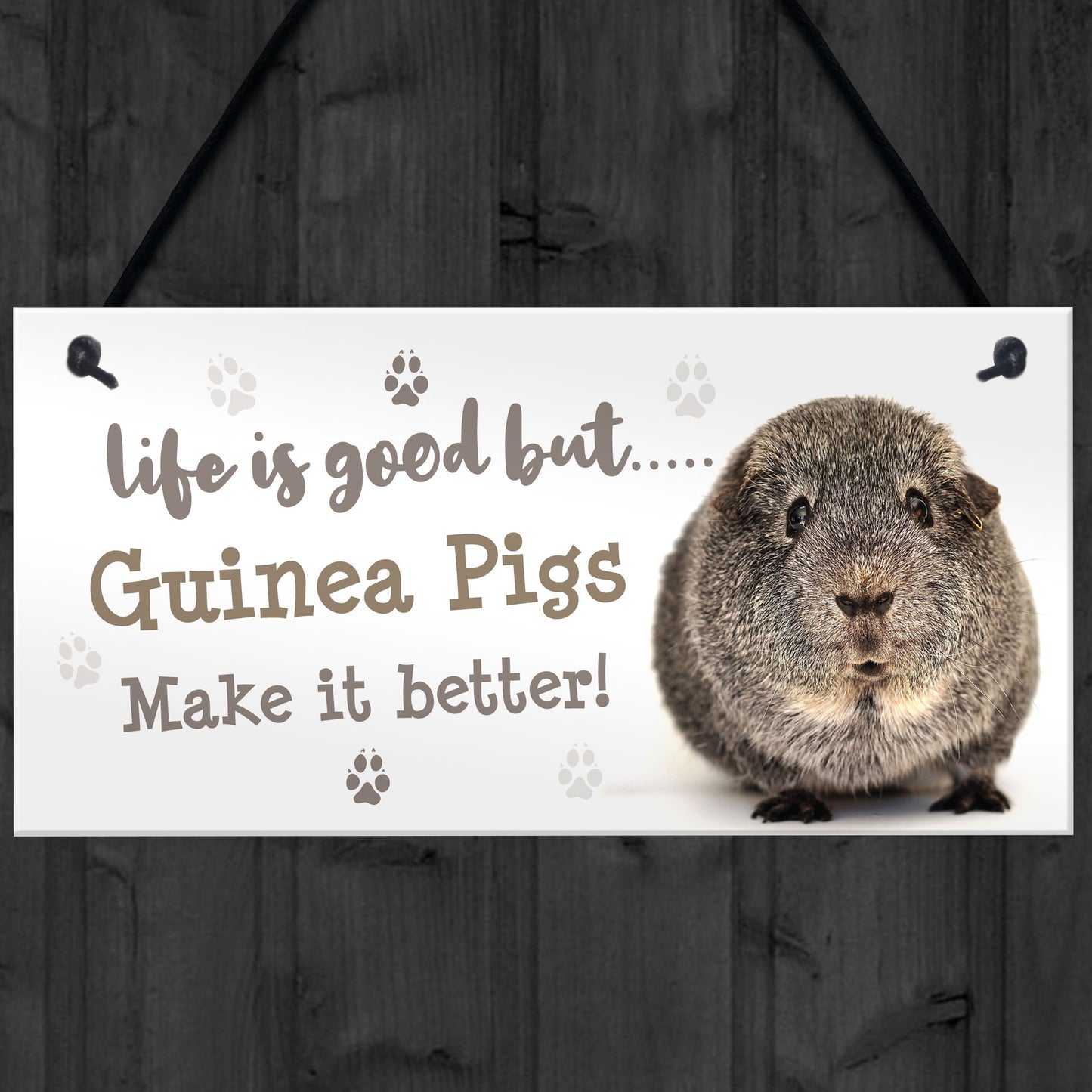 Guinea Pig Sign Handmade Gift Sign For Guinea Pig Owners