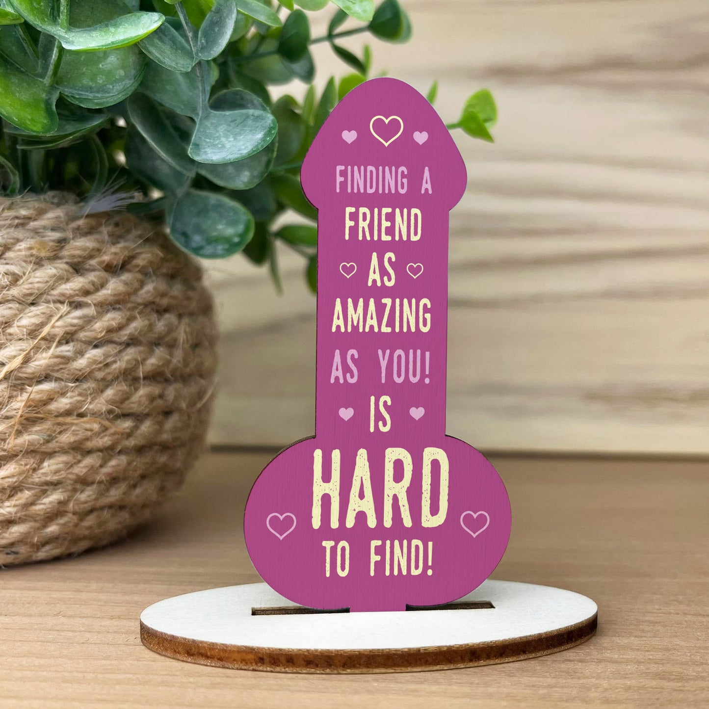 Funny Rude Friendship Plaque Novelty Plaque Birthday Friend Joke