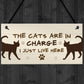 The Cats Are In Charge Hanging Sign Funny Cat Gift Home Decor